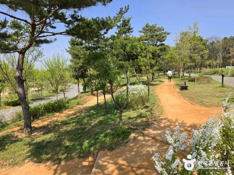충남_아산_아산문화공원(구.권곡문화공원) 청소년수련관지구_체험_3.jpg