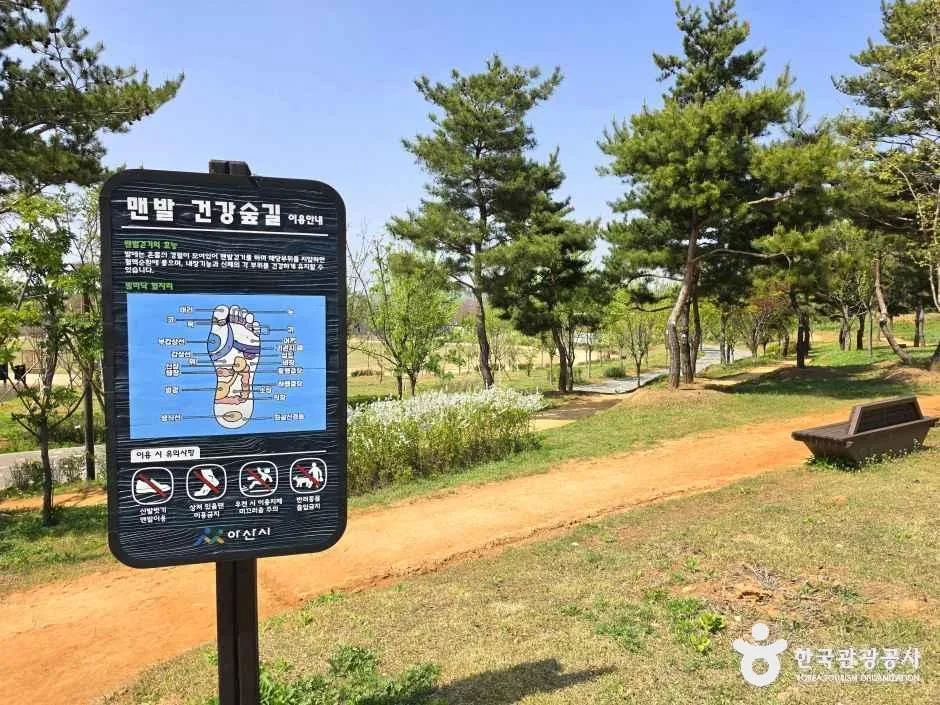 충남_아산_아산문화공원(구.권곡문화공원) 청소년수련관지구_외부_5.jpg