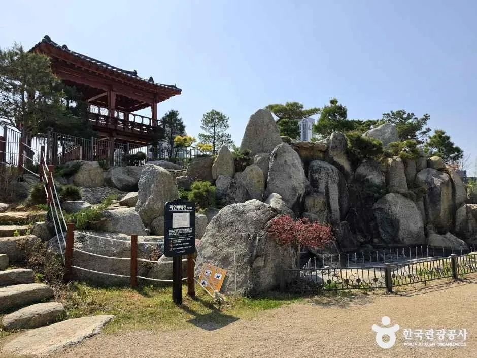 충남_아산_아산문화공원(구.권곡문화공원) 청소년수련관지구_체험_4.jpg