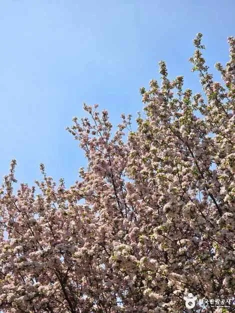 충남_아산_아산문화공원(구.권곡문화공원) 청소년수련관지구_외부_6.jpg