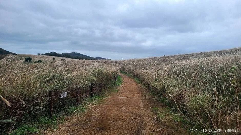 경주_무장산 (6)