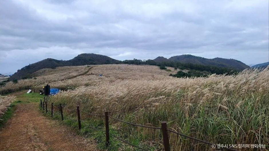 경주_무장산 (5)