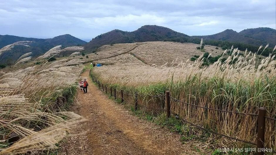 경주_무장산 (4)