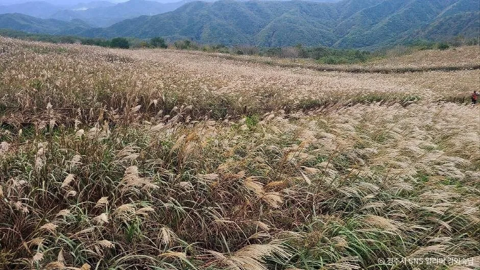 경주_무장산 (3)