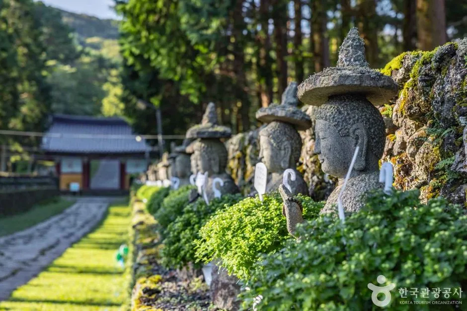 제주_제주_관음사(제주) (2)