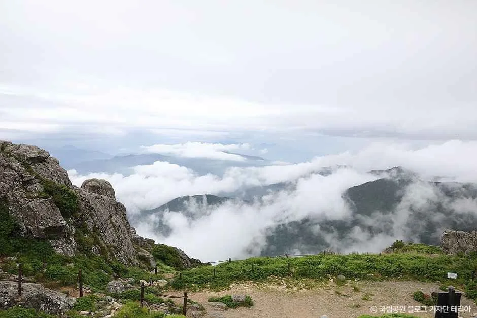 함양_지리산국립공원(함양) (7).jpg