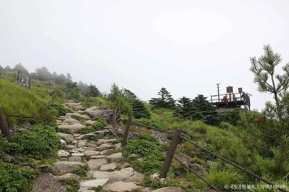 함양_지리산국립공원(함양) (3).jpg