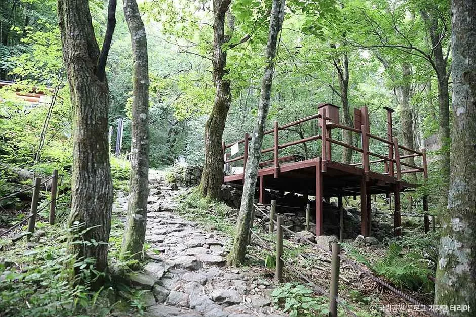 함양_지리산국립공원(함양) (2).jpg