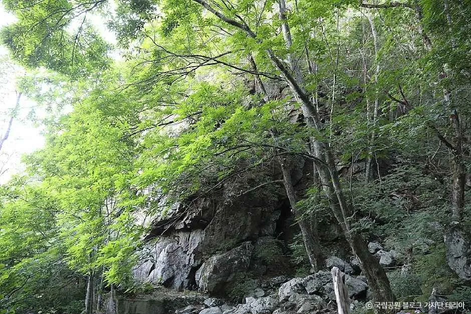 함양_지리산국립공원(함양) (1).jpg