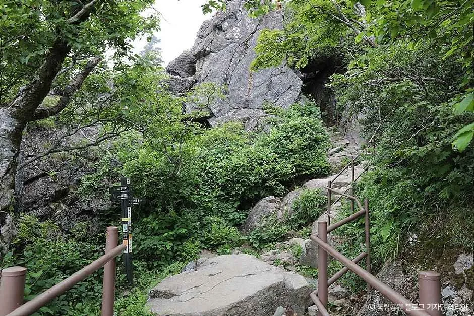 함양_지리산국립공원(함양) (4).jpg