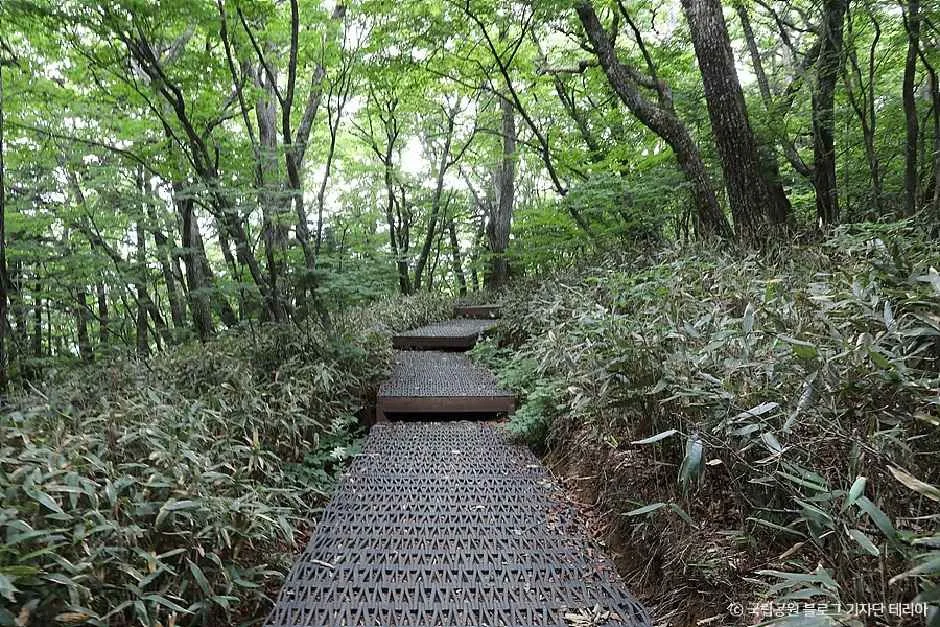 지리산국립공원(함양)