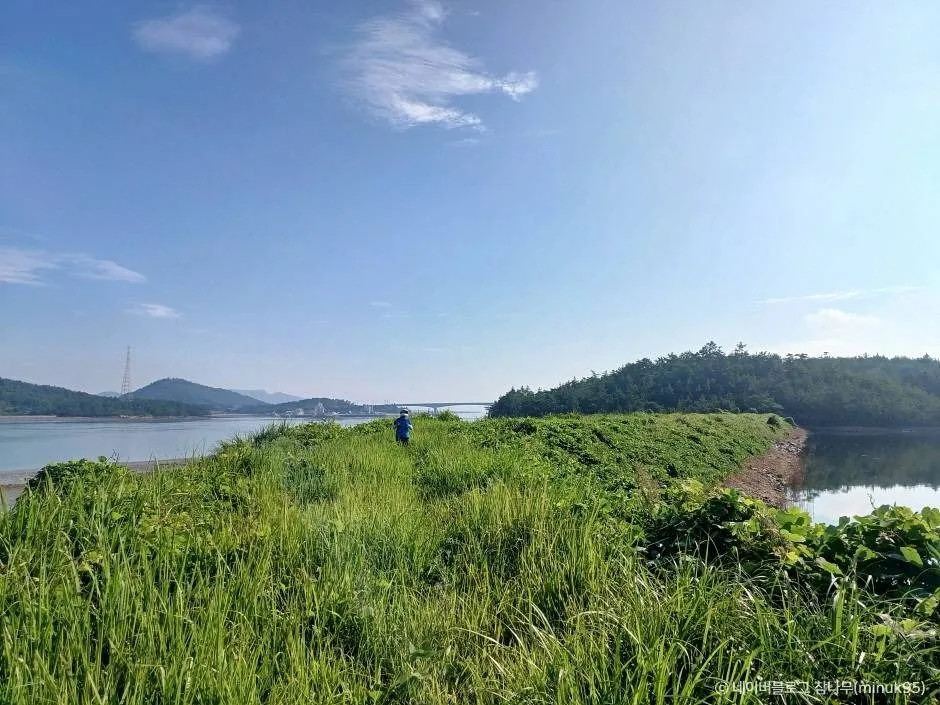 신안_팔금도 (6)