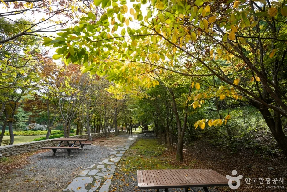경북_포항_경상북도수목원 (5)