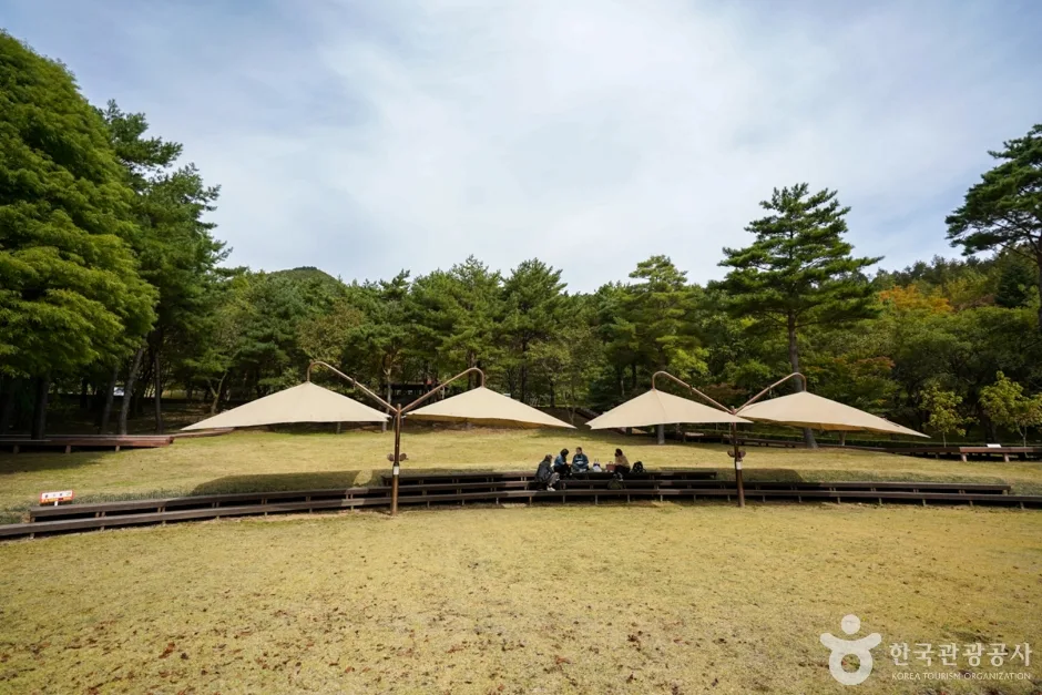 경북_포항_경상북도수목원 (7)