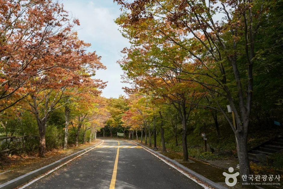 경북_포항_경상북도수목원 (15)