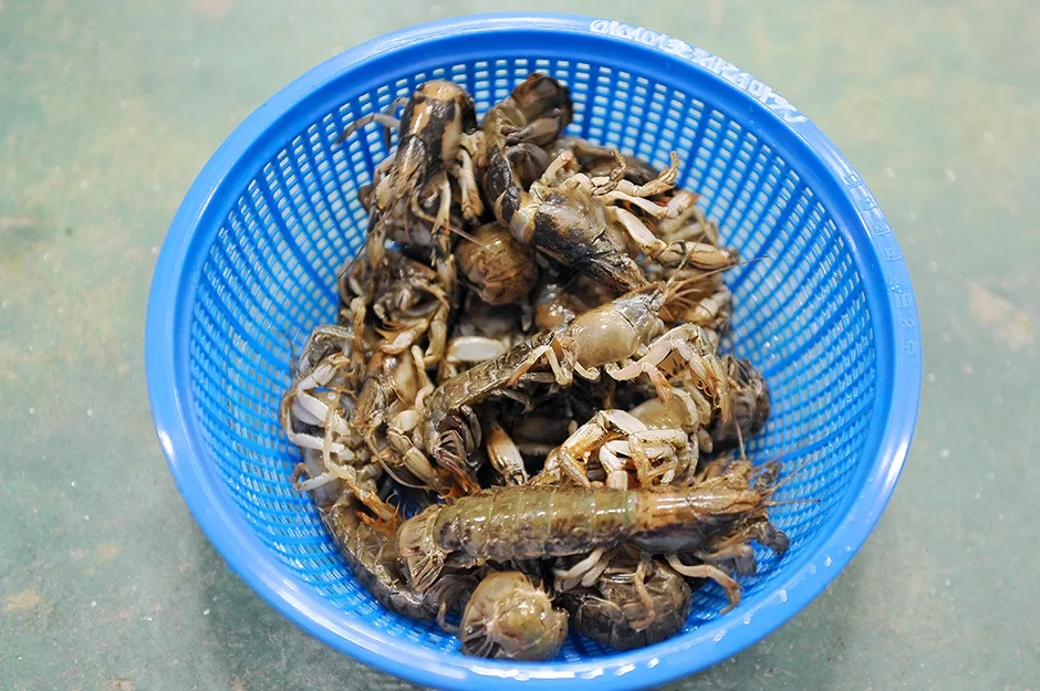 남해_전도갯벌체험장 (2).jpg