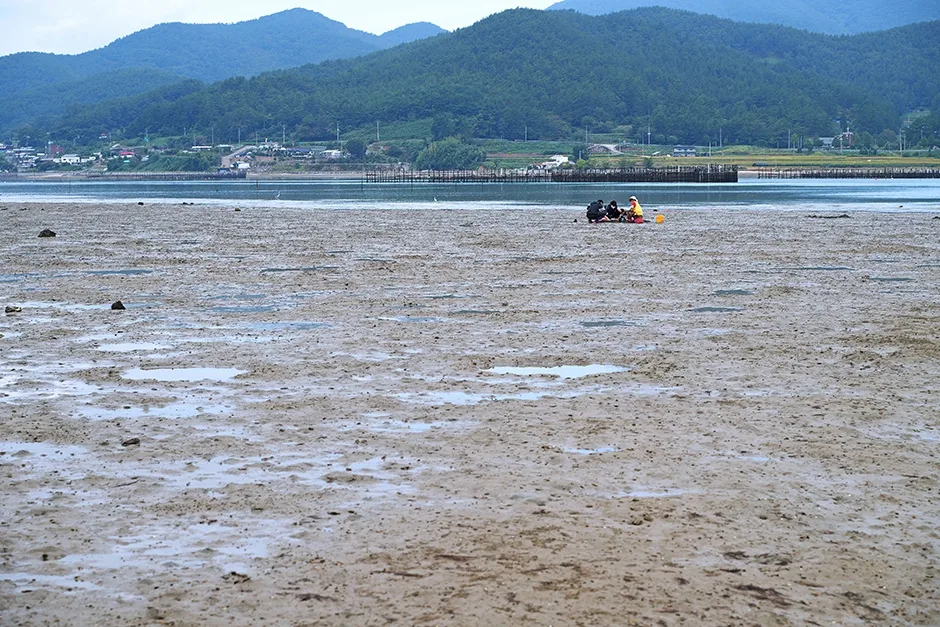 남해_전도갯벌체험장 (1).jpg