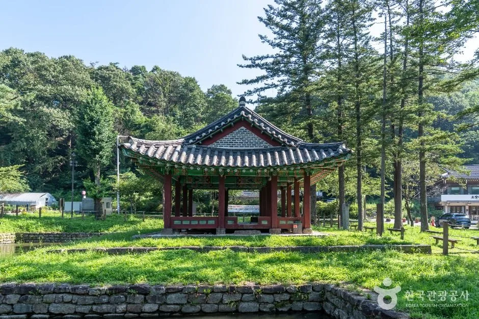 광주_지수당 (3)