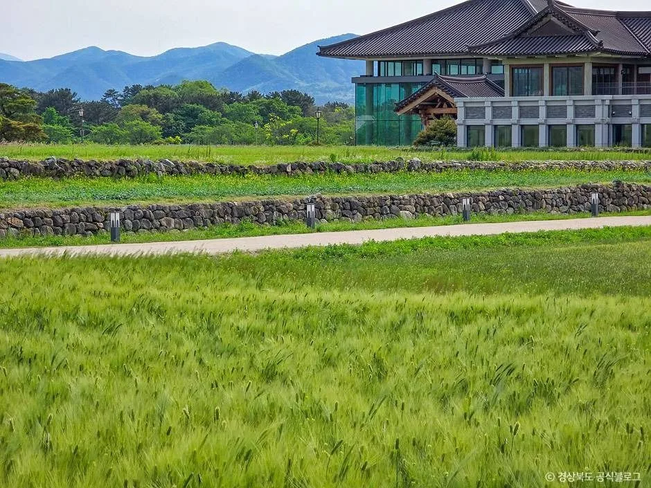 경주 황룡사지