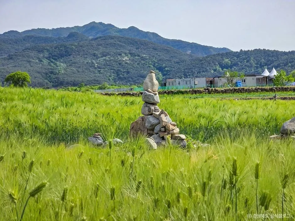 경주_경주 황룡사지 (2)