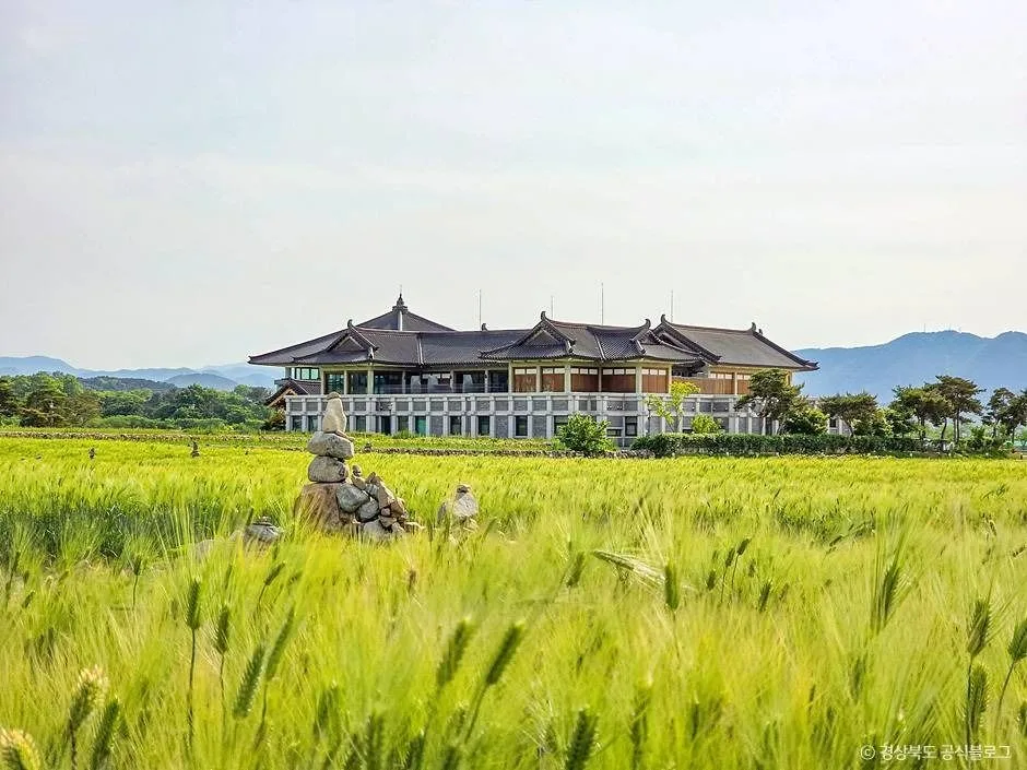 경주_경주 황룡사지 (4)
