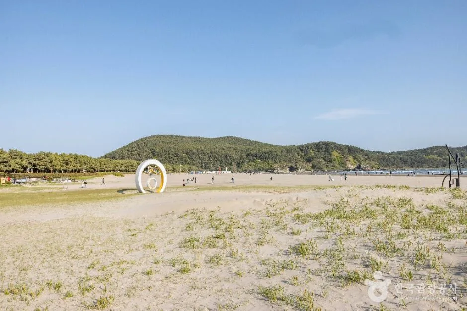 부산_다대포해수욕장 (10)
