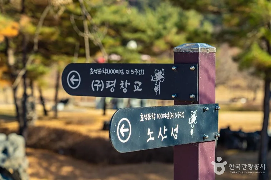 평창_[효석문학100리길 5-1코스] 마을길따라 노산가는 길 (9)