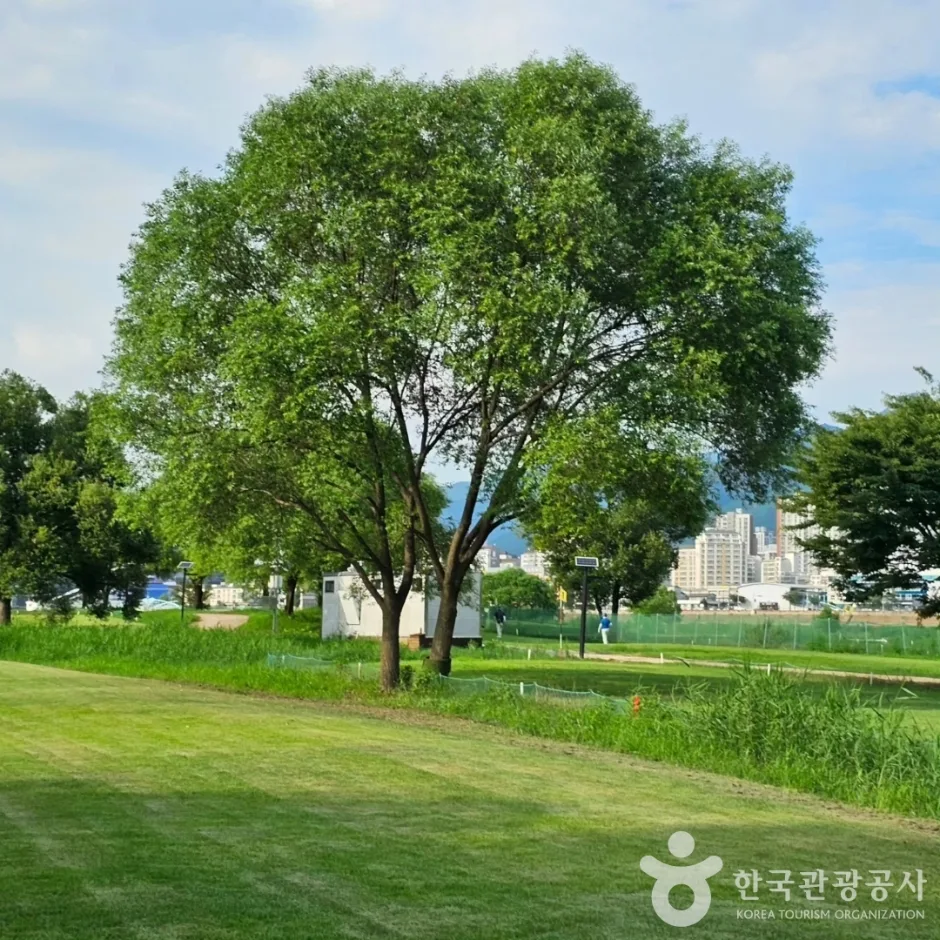 경기_양평군_강상체육공원 (2).jpg