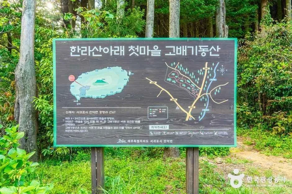 제주_고배기동산 (1).jpg