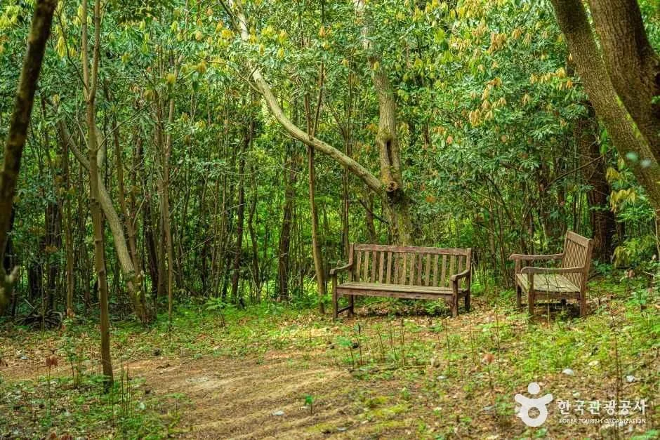 제주_고배기동산 (7).jpg