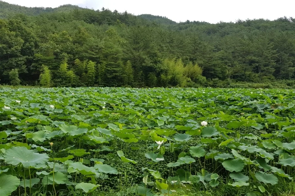 관광두레 주민사업체 경남 진주 프로스트맥주협동조합 9