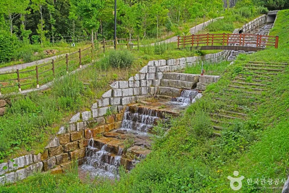 전남_구례_산수유 자연휴양림 (5)
