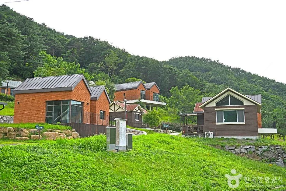 전남_구례_산수유 자연휴양림 (3)
