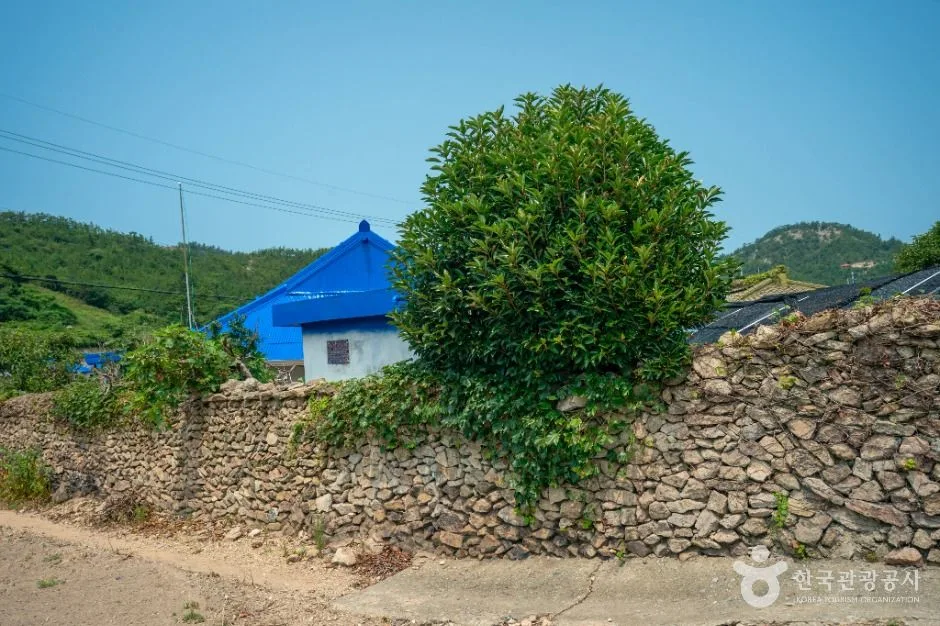 신안_비금도 내촌마을 옛 담장 (3)