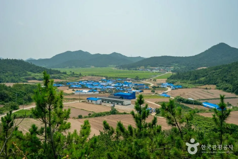 신안_비금도 내촌마을 옛 담장 (6)