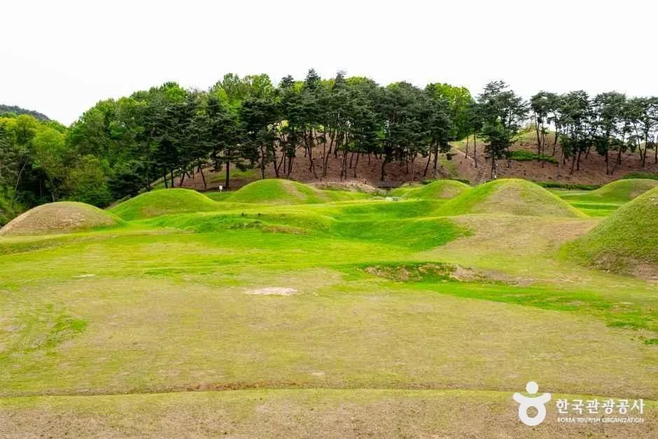 성주_성주 성산동 고분군 (2)