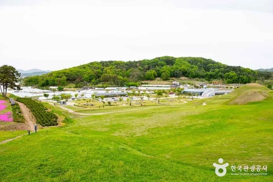 경북_성주_성산동 고분군_외부_4.jpg