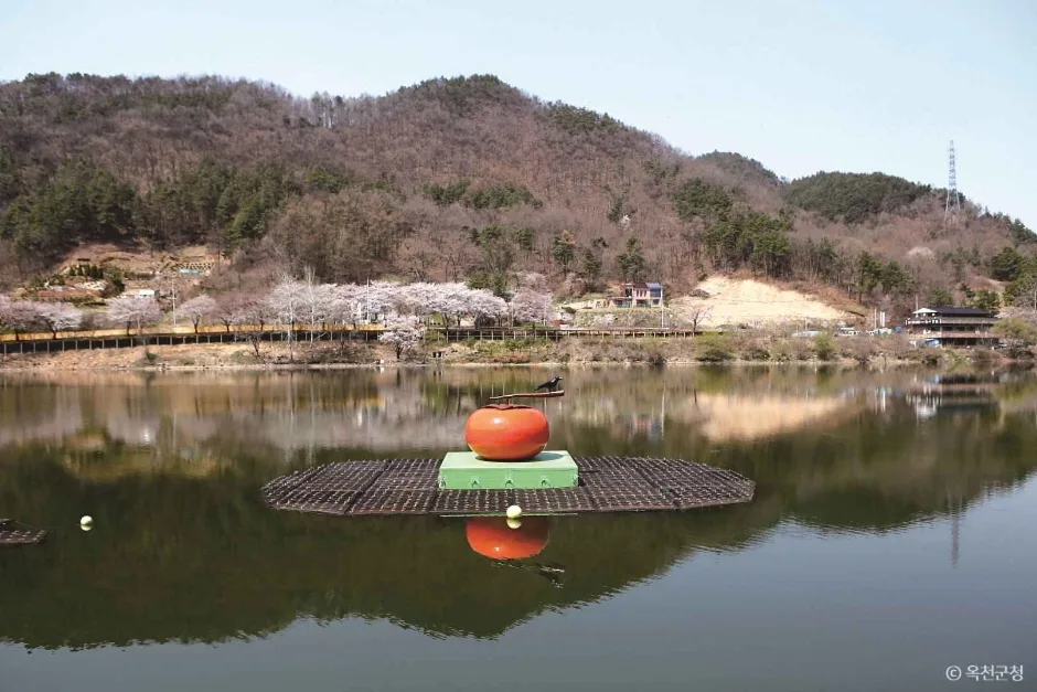 교동저수지 3