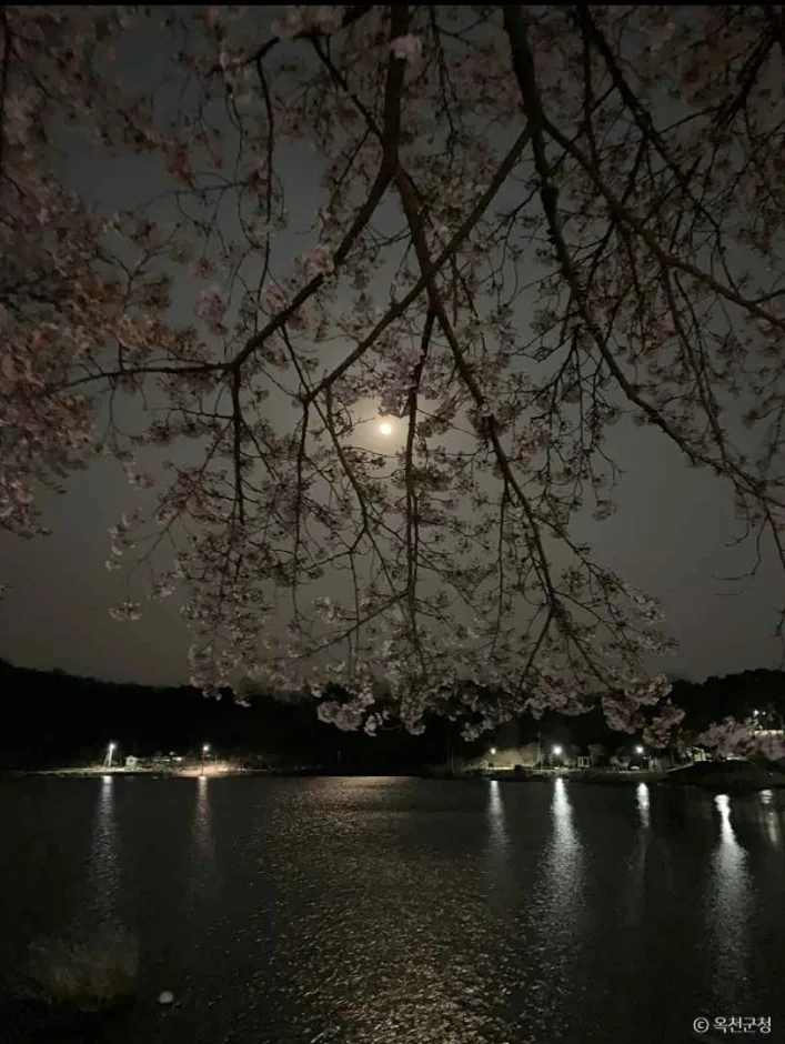 교동저수지 7