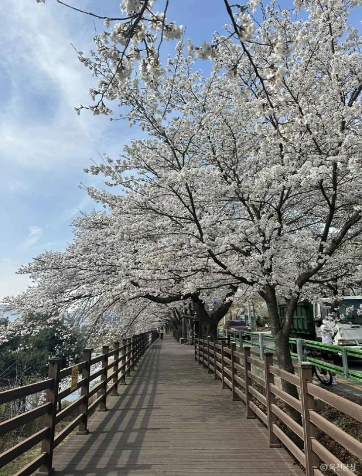 교동저수지 6