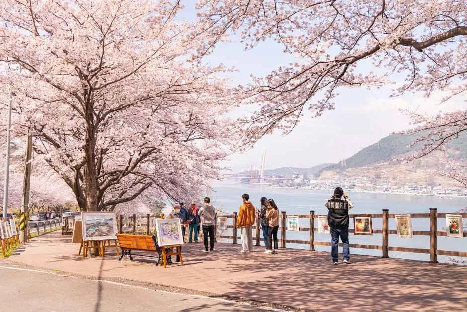 꽃피는 남해 남해가봄