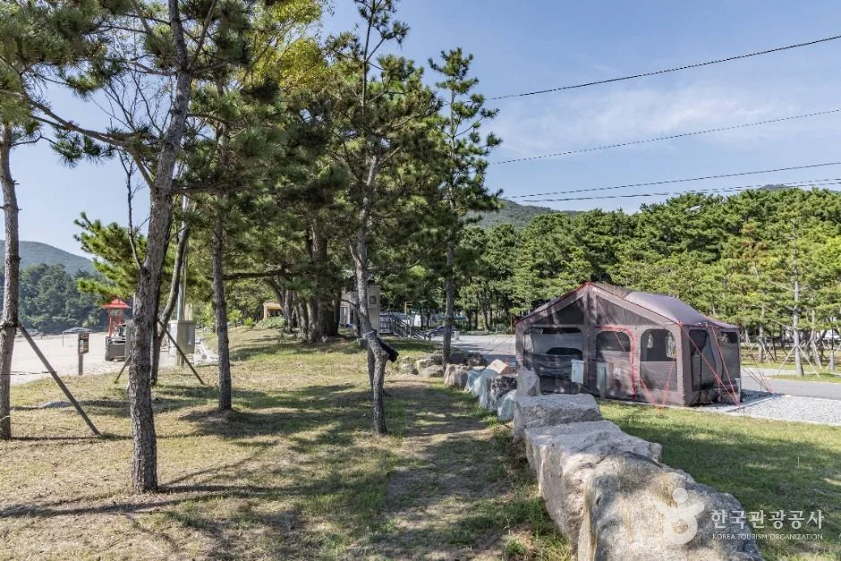 남해_송정솔바람해변 (12)
