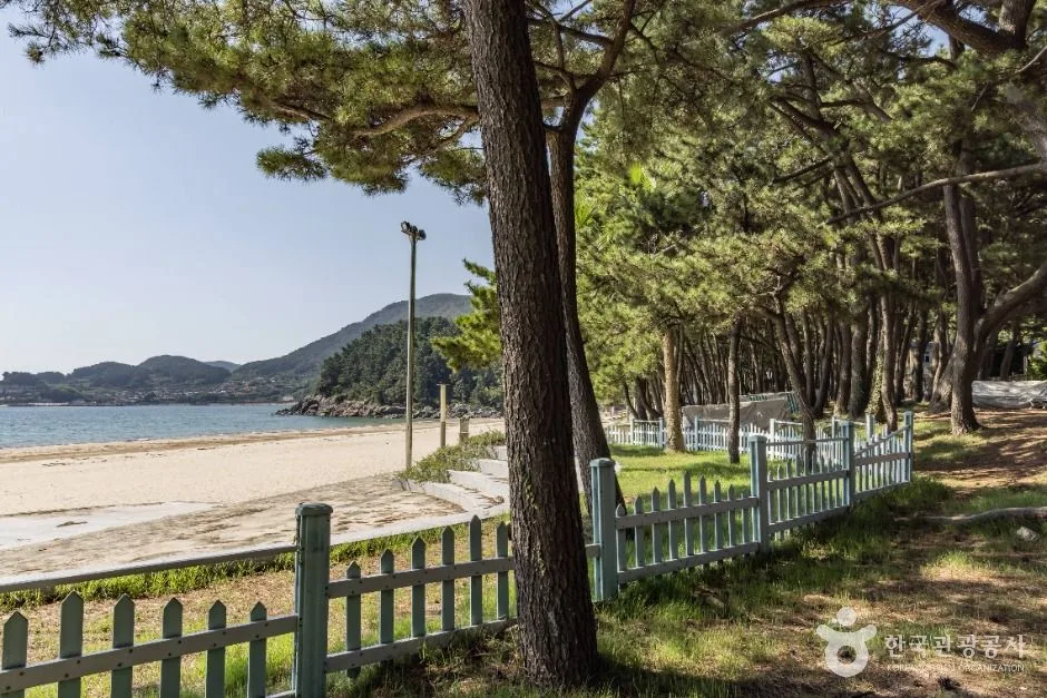 남해_송정솔바람해변 (6)
