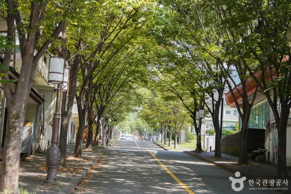 불리단길 (12)