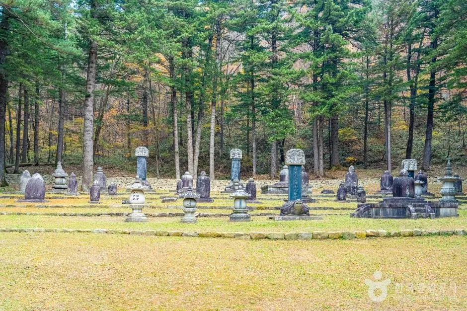 평창_월정사 부도군 (2)