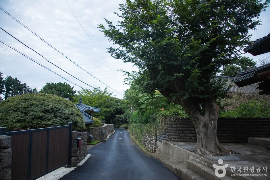 불탑사(제주) (4)