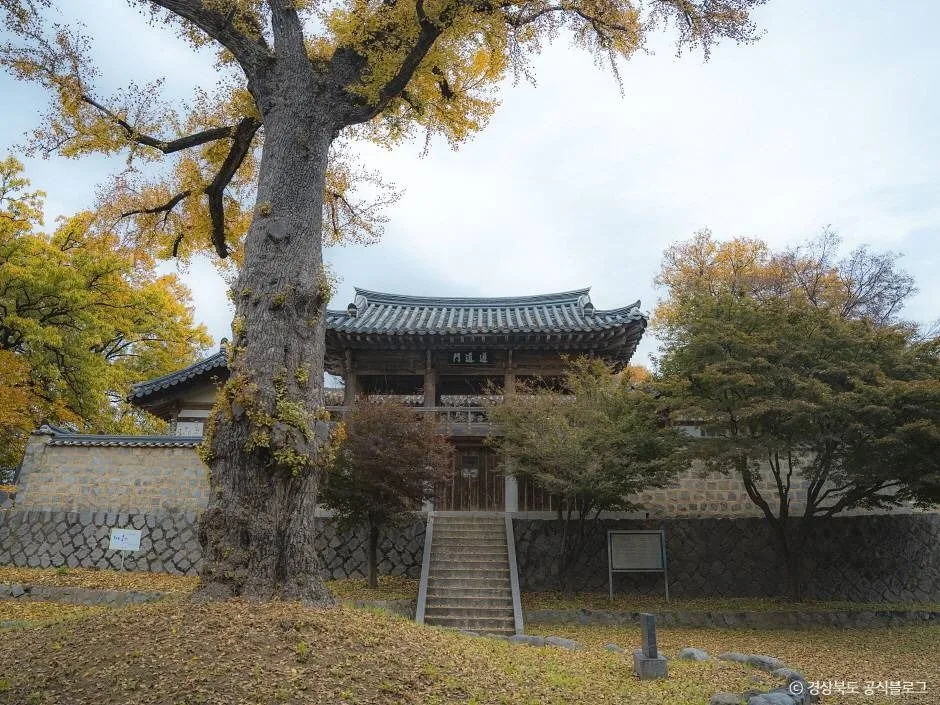 구미_동락서원 (3)