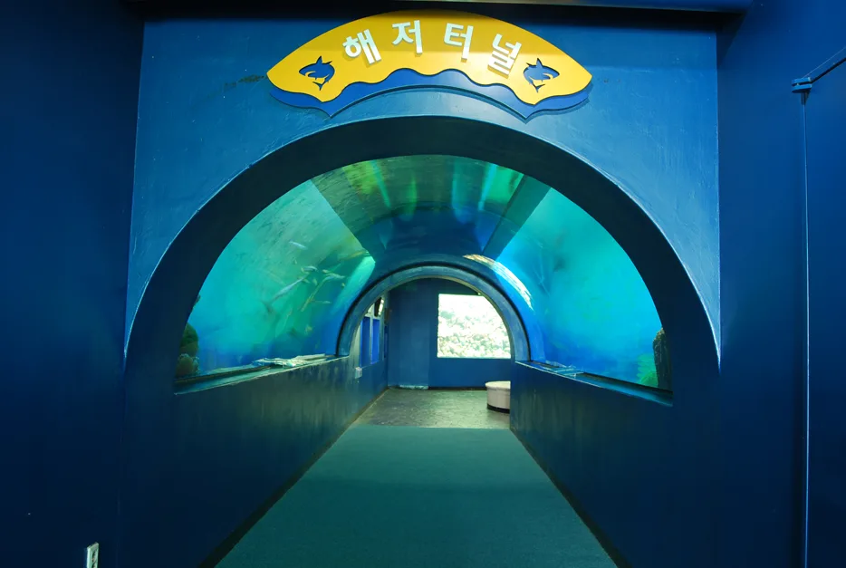 강원_고성_화진포해양박물관 (3).jpg