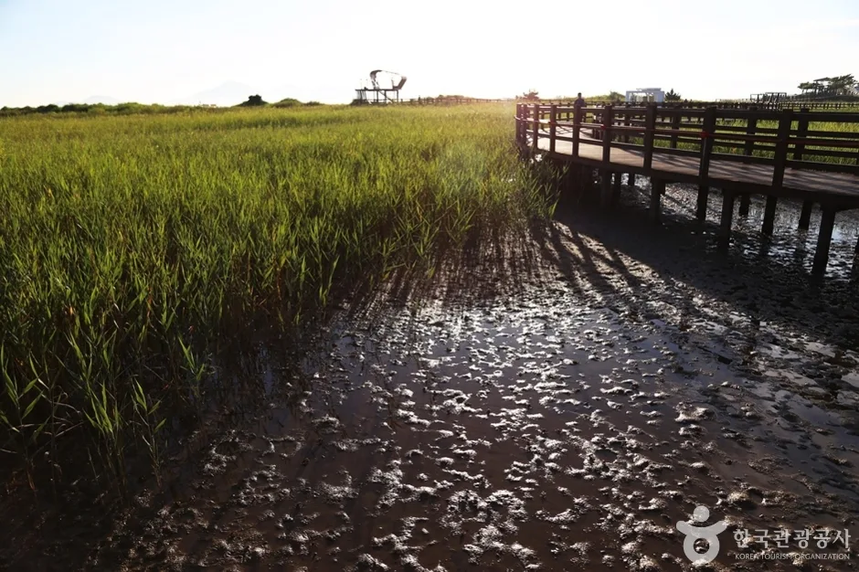 다대포해수욕장