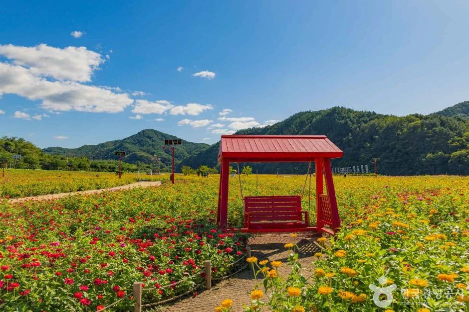 산소카페 청송정원 (9)